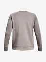 Herren Hoodie Under Armour