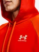 Herren Hoodie Under Armour