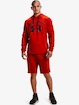 Herren Hoodie Under Armour