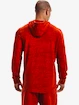 Herren Hoodie Under Armour
