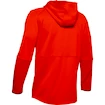 Herren Hoodie Under Armour