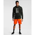 Herren Hoodie Under Armour