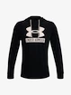 Herren Hoodie Under Armour