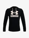 Herren Hoodie Under Armour