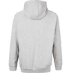 Herren Hoodie Virtus  Oralie Hoody grey