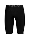 Herren Icebreaker M 200 Oasis Shorts BLACK