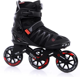 Herren Inline Skates Tempish Wenox Top 100