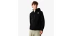 Herren Jacke The North Face  West Basin DryVent Jacket Black