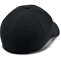 Herren Kappe  Under Armour