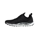 Herren Laufschuhe adidas  Terrex