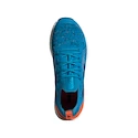 Herren Laufschuhe adidas  Terrex
