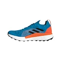 Herren Laufschuhe adidas  Terrex