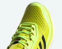 Herren Laufschuhe adidas  Terrex Agravic Flow
