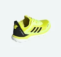Herren Laufschuhe adidas  Terrex Agravic Flow