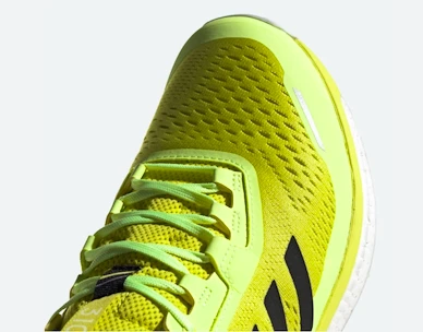 Herren Laufschuhe adidas  Terrex Agravic Flow