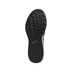 Herren Laufschuhe adidas  Terrex Agravic Flow černé