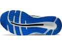 Herren Laufschuhe Asics