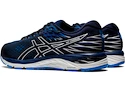 Herren Laufschuhe Asics