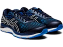 Herren Laufschuhe Asics
