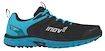 Herren Laufschuhe Inov-8  Parkclaw 275 GTX