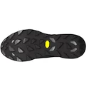 Herren Laufschuhe Mizuno  Wave Daichi 9 Gtx Black/Ultimate Gray/Black Sand