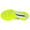 Herren Laufschuhe Mizuno  Wave Rider 25 Neo Lime/Ebony