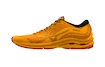 Herren Laufschuhe Mizuno Wave Rider Gtx Zinnia/Tigerlily/Black