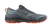 Herren Laufschuhe Mizuno Wave Rider Tt Lead/Citrus/Hot Coral