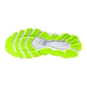 Herren Laufschuhe Mizuno  Wave Sky 8 Nimbus Cloud/Black/Green Gecko