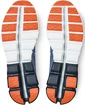 Herren Laufschuhe On  Cloudflow Lake