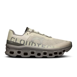 Herren Laufschuhe On Cloudmonster Ice/Alloy