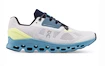 Herren Laufschuhe On Cloudstratus Frost/Niagara