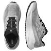 Herren Laufschuhe Salomon Aero Blaze 3 GRVL Lunar Rock/White/Black