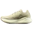 Herren Laufschuhe Salomon Aero Glide 3 GRVL Green Haze/Vanilla Ice/Russet
