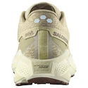 Herren Laufschuhe Salomon Aero Glide 3 GRVL Green Haze/Vanilla Ice/Russet