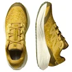 Herren Laufschuhe Salomon Aero Glide 3 GRVL Spicy Mustard/Vanilla Ice/Deep Lichen Green