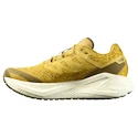 Herren Laufschuhe Salomon Aero Glide 3 GRVL Spicy Mustard/Vanilla Ice/Deep Lichen Green