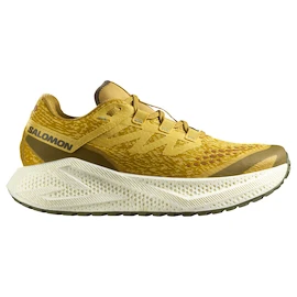 Herren Laufschuhe Salomon Aero Glide 3 GRVL Spicy Mustard/Vanilla Ice/Deep Lichen Green