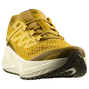 Herren Laufschuhe Salomon Aero Glide 3 GRVL Spicy Mustard/Vanilla Ice/Deep Lichen Green