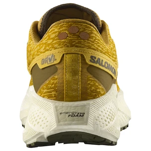 Herren Laufschuhe Salomon Aero Glide 3 GRVL Spicy Mustard/Vanilla Ice/Deep Lichen Green