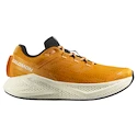 Herren Laufschuhe Salomon Aero Glide 3 Turmeric/White/Black   UK 9,5