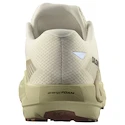 Herren Laufschuhe Salomon DRX Defy Grvl Vanilla Ice/Green Haze/White Pepper