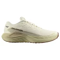 Herren Laufschuhe Salomon DRX Defy Grvl Vanilla Ice/Green Haze/White Pepper
