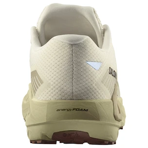 Herren Laufschuhe Salomon DRX Defy Grvl Vanilla Ice/Green Haze/White Pepper