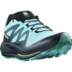 Herren Laufschuhe Salomon  PULSAR TRAIL