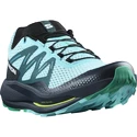 Herren Laufschuhe Salomon  PULSAR TRAIL