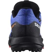 Herren Laufschuhe Salomon Pulsar Trail GTX Dazzling Blue