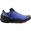 Herren Laufschuhe Salomon Pulsar Trail GTX Dazzling Blue