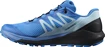 Herren Laufschuhe Salomon Sense Ride Blue Aster