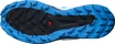 Herren Laufschuhe Salomon Sense Ride Blue Aster